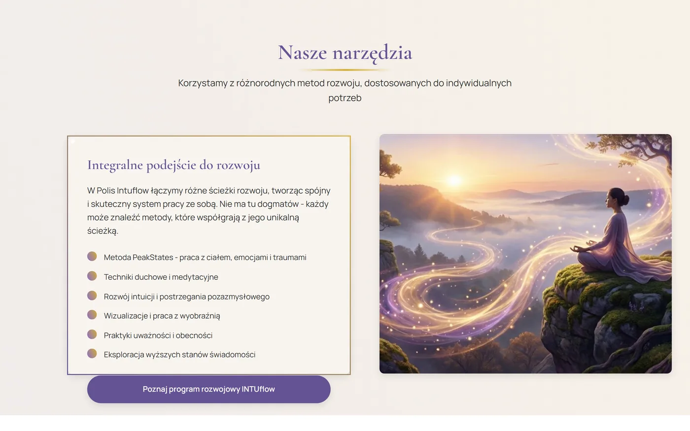 Sekcja narzędzi pracy na polis.intuflow.pl